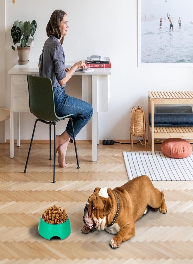 Western Era Pet Steel & Plastic Bowl - Interactive Pet Feeder, Promotes Healthy Eating, Mental Stimulation, Design for Healthy Eating, Fun Design for Cats and Dogs, Ideal for All Pet Sizes - Image 5